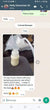 Load image into Gallery viewer, Lactation / Breastfeeding / Nursing Biscuits / Cookies  (Dr. Annie Breast Milk Booster / Maker) - Kyemen Baby Online