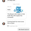 Load image into Gallery viewer, Lactation / Breastfeeding / Nursing Biscuits / Cookies  (Dr. Annie Breast Milk Booster / Maker) - Kyemen Baby Online