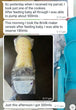 Load image into Gallery viewer, Lactation / Breastfeeding / Nursing Biscuits / Cookies  (Dr. Annie Breast Milk Booster / Maker) - Kyemen Baby Online