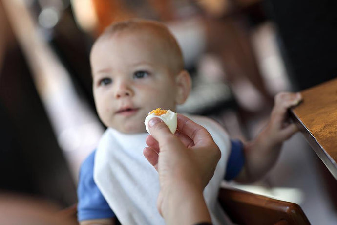 5 Reasons Eggs are Perfect for Kids, No.4 will shock you!