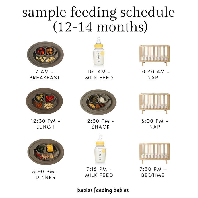 Sample Feeding Schedule for Babies