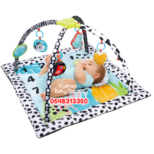 Press & Fold Activity Gym N Play Mat (1100035)
