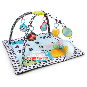 Press & Fold Activity Gym N Play Mat (1100035)