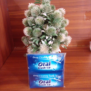 Dental / Oral Wipes (Oral Brush Up) 30pcs - Kyemen Baby Online