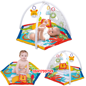 2 In 1 Baby Play Gym With A Funny Ball Pit (1100038) Konig Kids