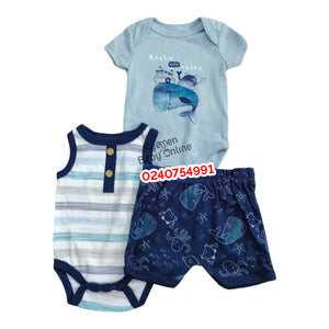 Baby Boy T-Shirt And Sleeveless Bodysuit With Shorts (Bloomin Baby)