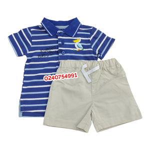 Baby Boy Lacoste With Shorts (Cute Koala) Blue