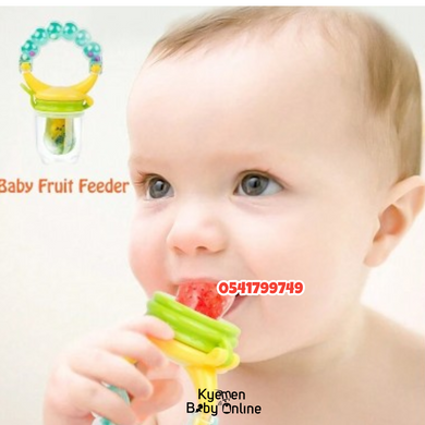 Fruit Pacifier / Fruit Feeder With Rattle Ring & Clip Holder (Dr. Annie's) 4m+ - Kyemen Baby Online