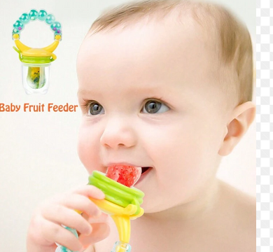 Fruit Pacifier /Fruit Feeder (With Rattle Ring & Clip Holder) Dr. Annie's. - Kyemen Baby Online