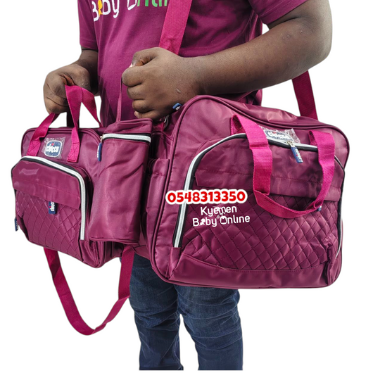 Diaper Bag (Chicco 4 In 1 Bag)