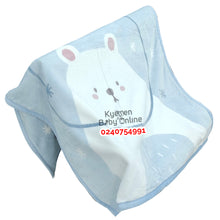 Load image into Gallery viewer, Baby Blanket (110*140cm) Lillo And Pippo - Kyemen Baby Online

