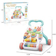 Load image into Gallery viewer, Push Activity Walker / Cute Caterpillar Baby Walker (A2018-7) - Kyemen Baby Online
