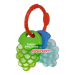 Load image into Gallery viewer, Baby Teether / Water Filled Teether (Dr Annie&#39;s) Fruit
