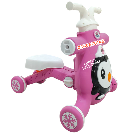 3 In 1 Activity Walker Push Walker Help Walk