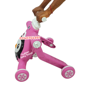 3 In 1 Activity Walker Push Walker Help Walk