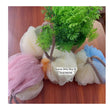 Load image into Gallery viewer, Baby Sponge (Loofah) - Kyemen Baby Online
