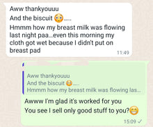 Load image into Gallery viewer, Lactation / Breastfeeding / Nursing  Granola (Dr. Annie Breast Milk Maker / Booster) - Kyemen Baby Online
